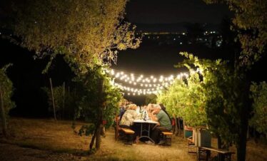 Cena in vigna