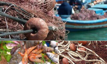Pesca Turismo