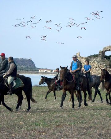 Cavalcata nel Sinis