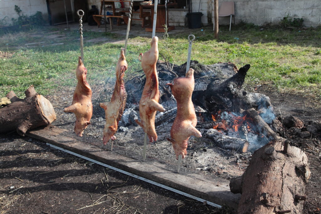 Arrostitura maialetto