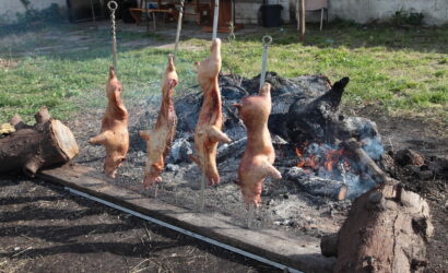 Arrostitura maialetto