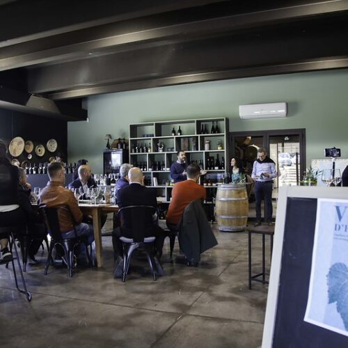 Degustazione in cantina